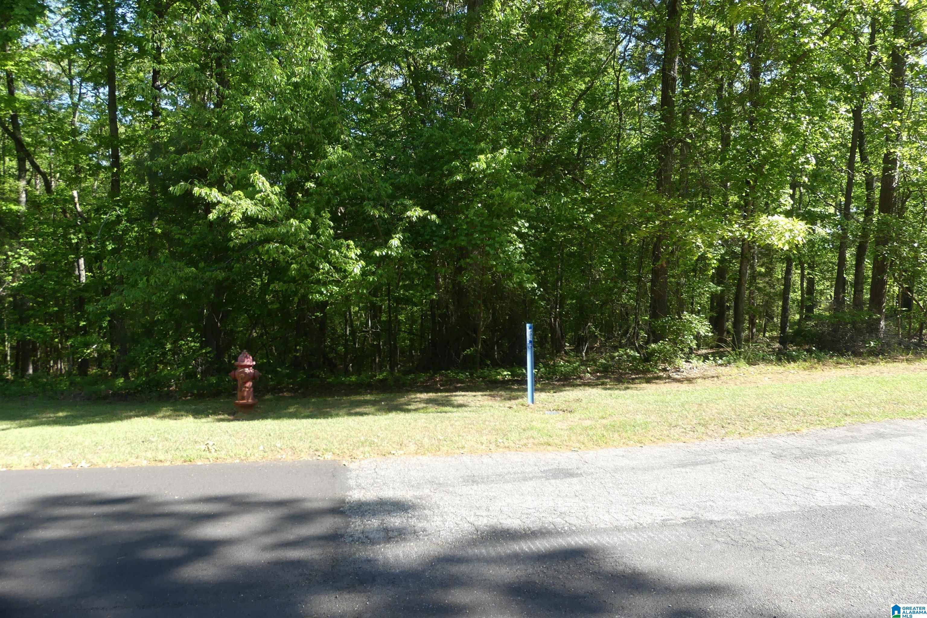 Image 4: PAVED STREETS