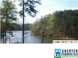 BLUE GILL DR
