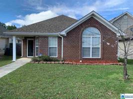 209 VILLAGE DR