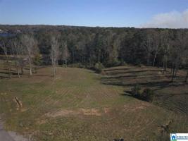 Lot 4 SIPSEY SHORES