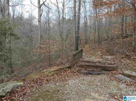 Lot 7+/- acres LIV DRIVE
