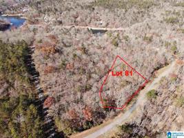 Lot 81 BLACKBERRY LANE
