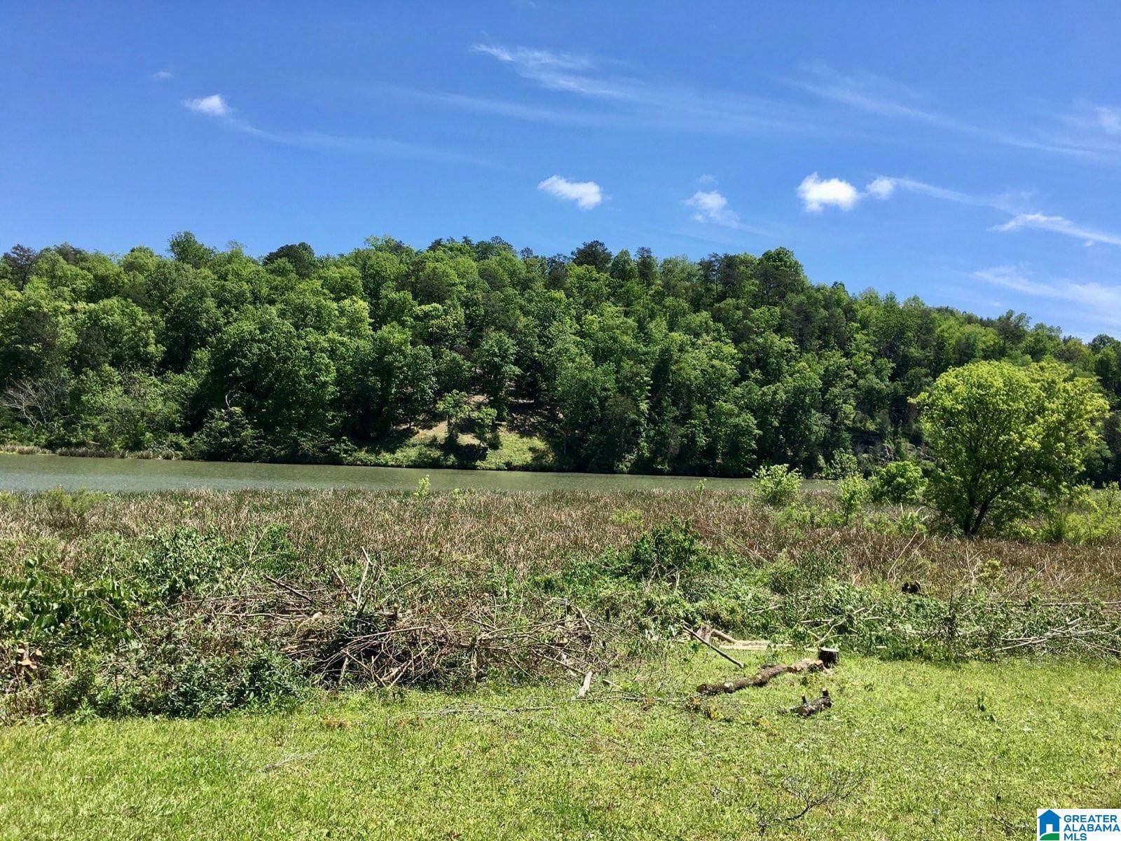 119 BOUTWELL ROAD, ADGER, AL lhrmls01650333