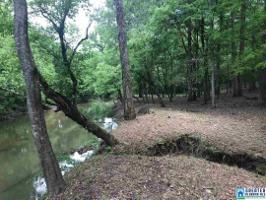 4601 ROSS BRIDGE PKWY