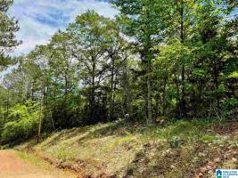 Lot 18 acres COUNTY ROAD 263
