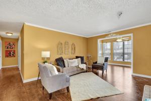 1204 MORNING SUN DRIVE