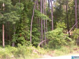 000 MOUNTAIN WOODS LAKE RD