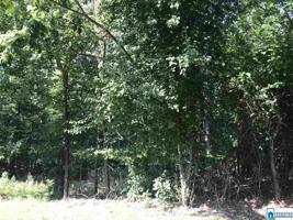 2100 SWAN LAKE COVE