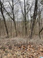 Lot 189 SHELTERWOOD CIRCLE