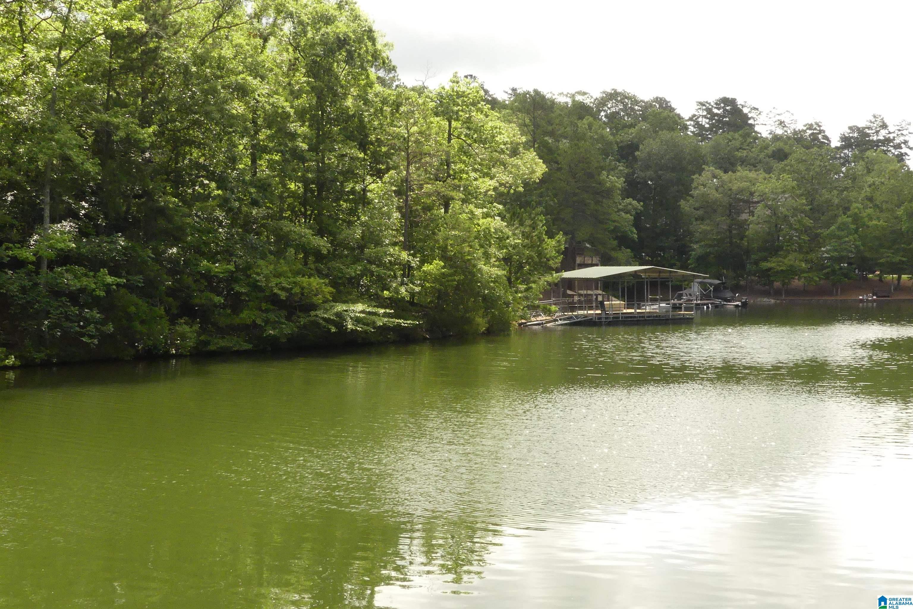 Image 4: VIEW OUT OF COVE