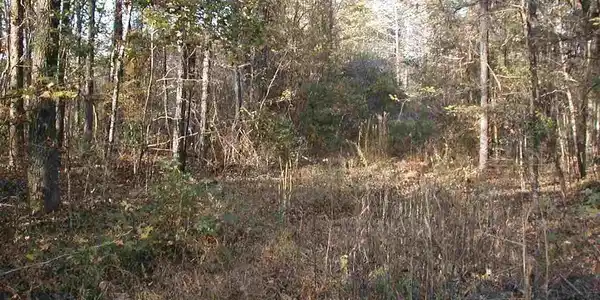 Lot 10 CLYDE CIR