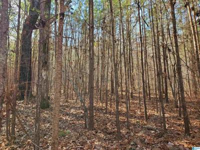 135 CREEKVIEW ROAD
