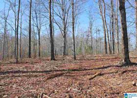 Lot 23 MANDY DRIVE