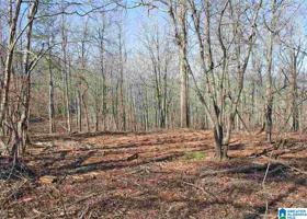 Lot 28 MANDY DRIVE