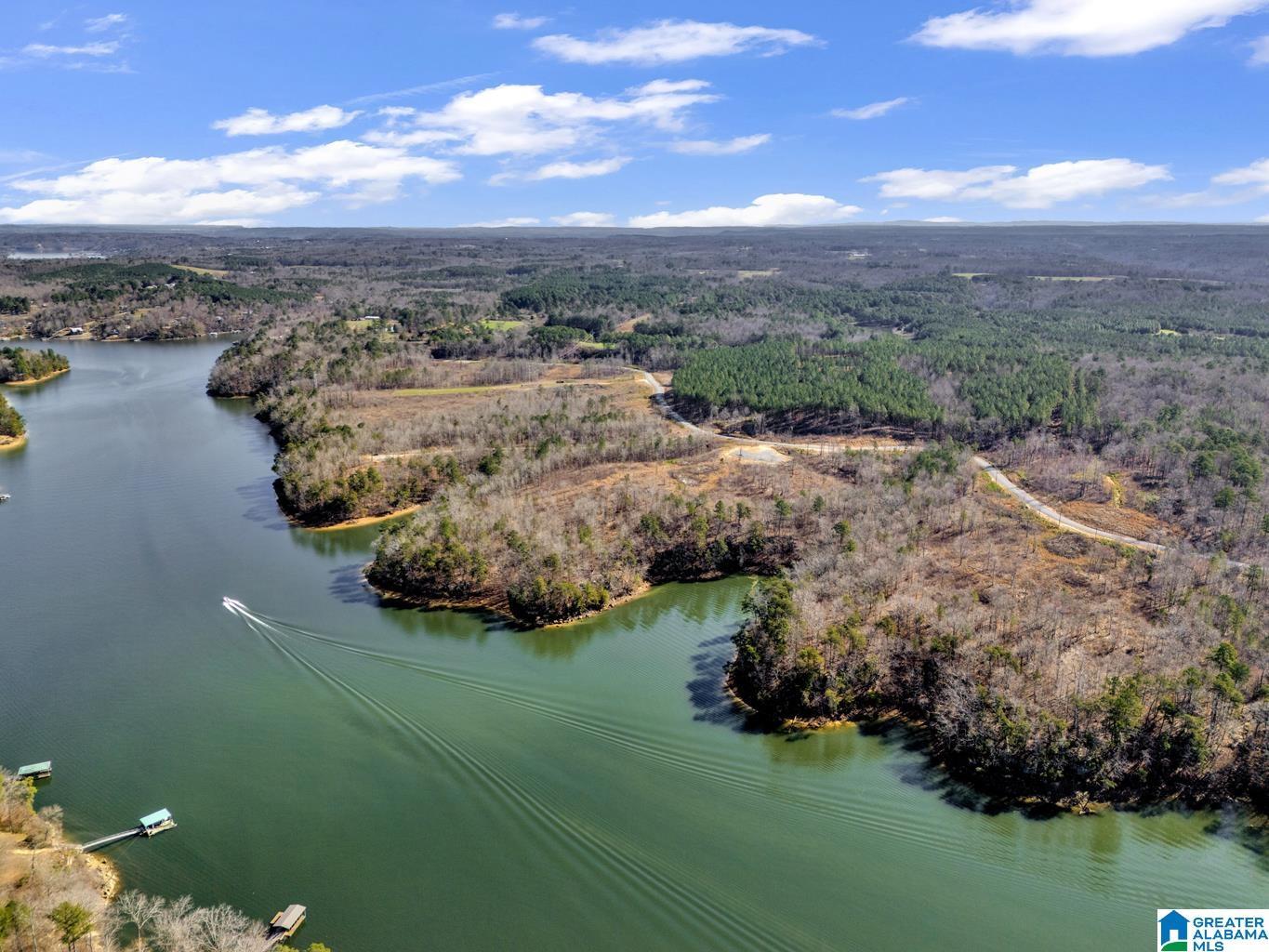Image 1: Aerial View
