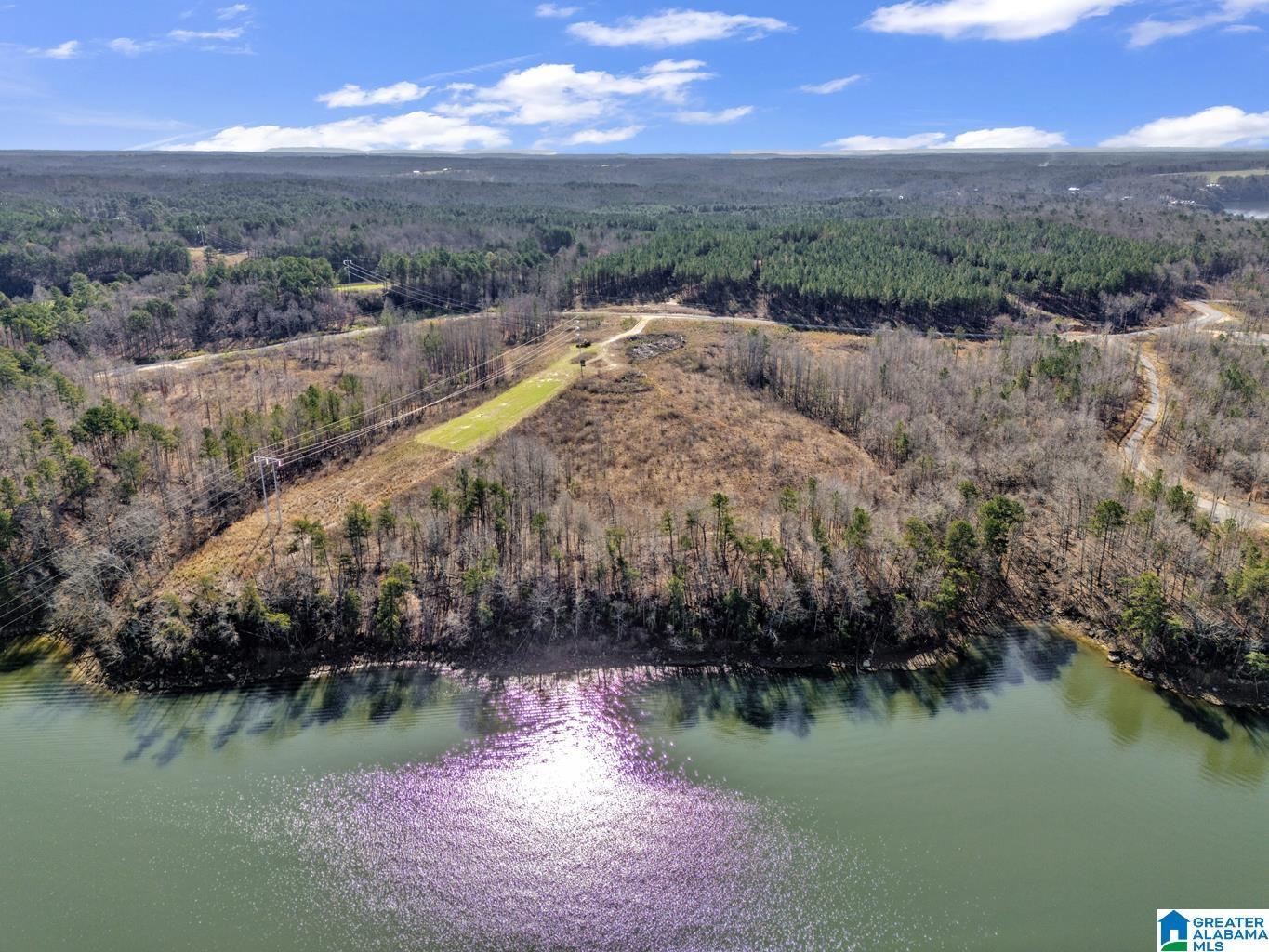 Image 4: Aerial View