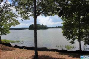Lot 3 COVE RD