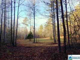 Lot 61 Acres MCCOLLUM ROAD