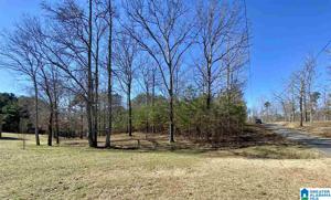Lot 1 LAKESHORE LOOP