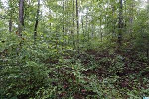 Lot 12 WOODGATE SHORES DRIVE
