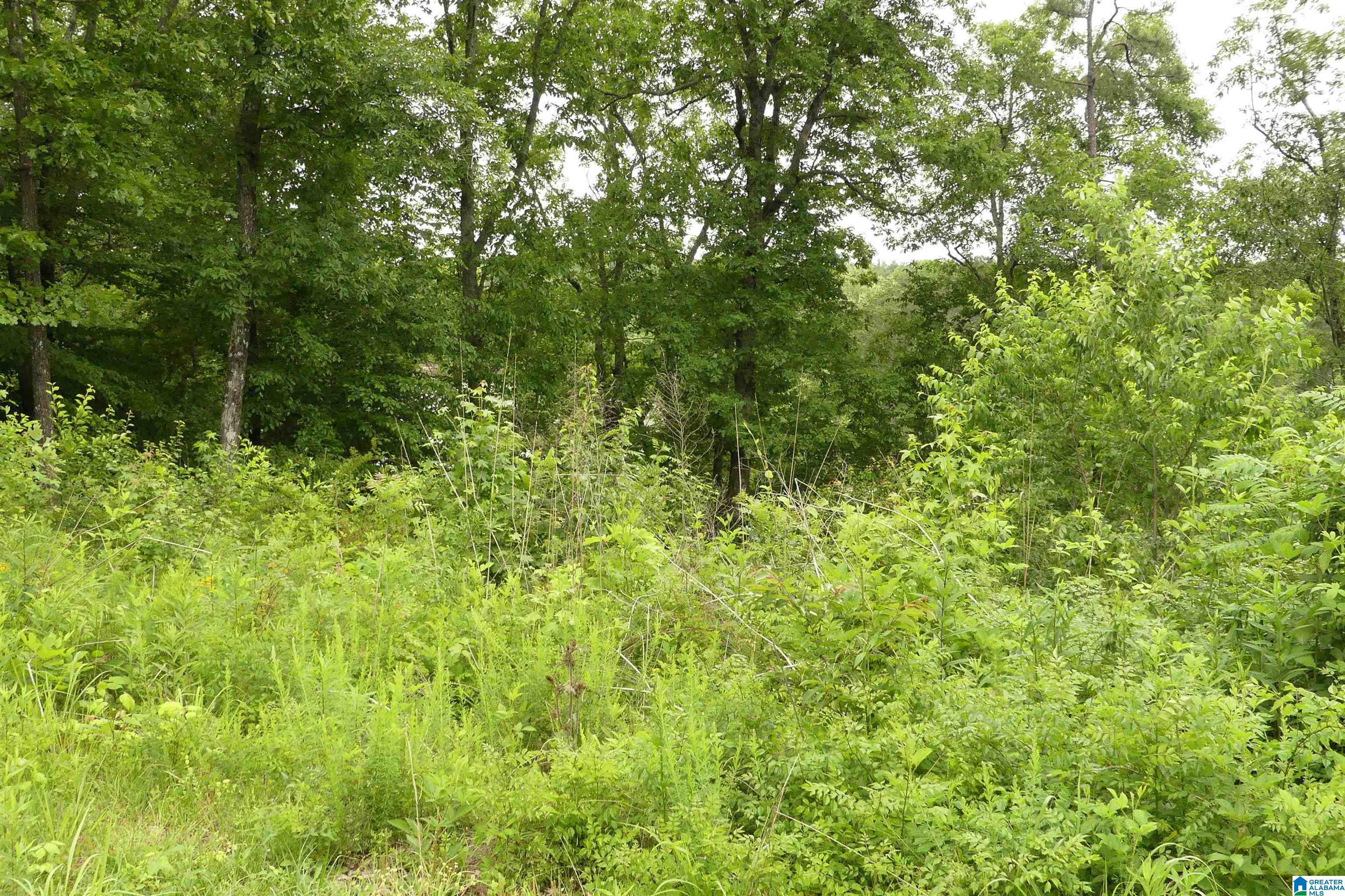 Lot 9 PENINSULA DRIVE, WEDOWEE, AL lhrmls01647765