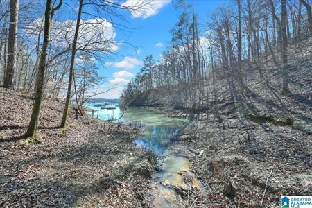 Lot 23 & 24 COUNTY ROAD 875