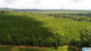Lot 54+/- acreage CO RD 204