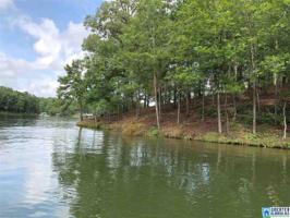 Lot 54A Wedowee COUNTY ROAD 6