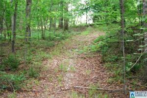 4176 CO RD 99