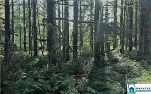Lot 6 LAKESHORE DR
