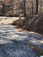 Lot 1 COUNTY ROAD 542