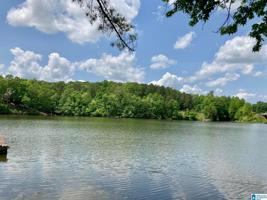 Lot #6 PINEY WOODS DRIVE