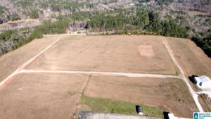 Lot 24 acres OLD HIGHWAY 431