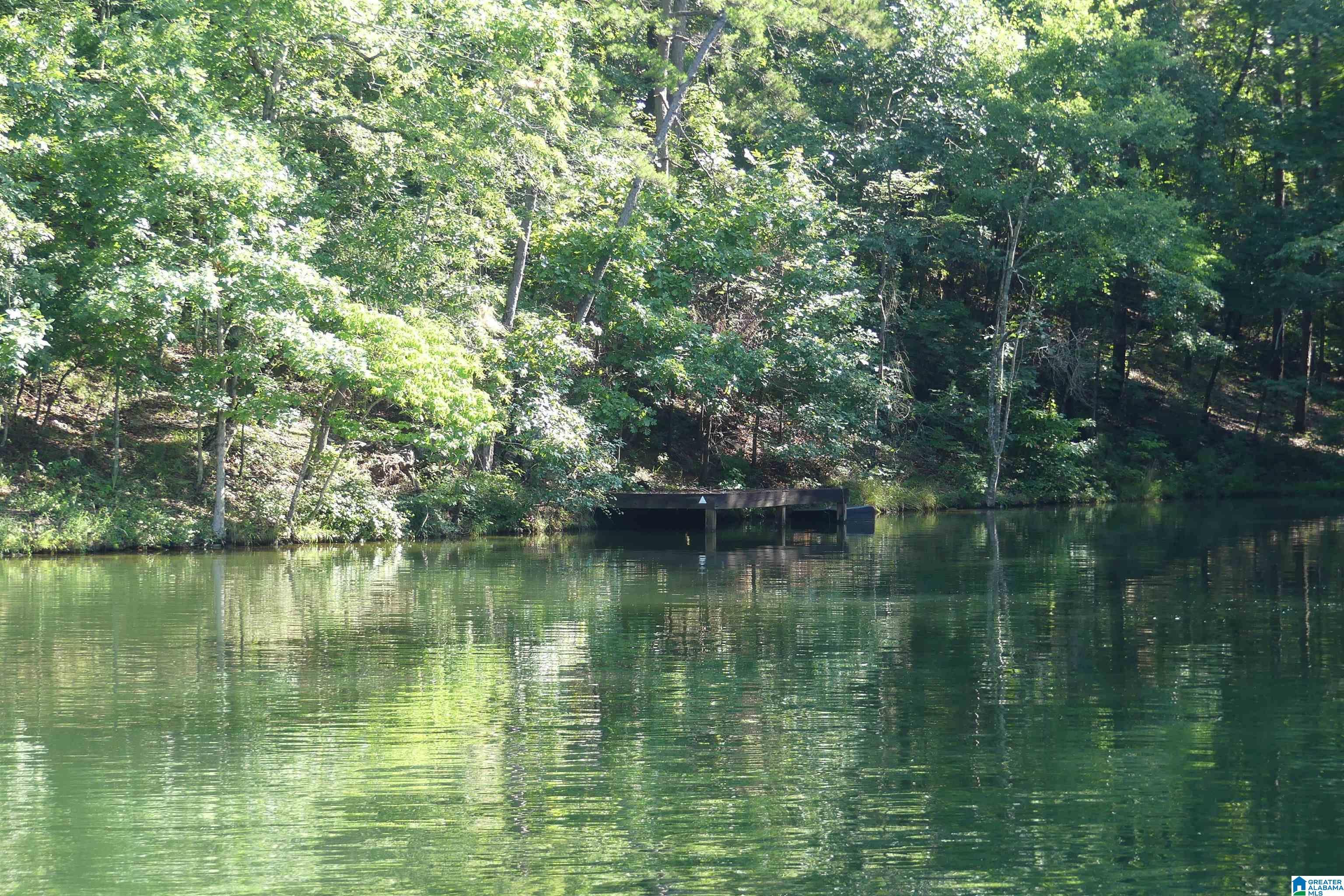 Image 3: 163 FT OF SHORELINE