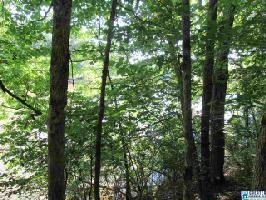 Lot 43 POINTE SOUTH DR