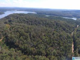 0 WILL BLACK HOLLOW RD