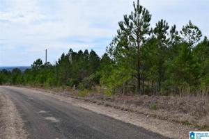 Lot 25 COUNTY ROAD 299