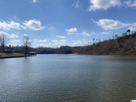 Lot 53 W LAKESHORE DRIVE