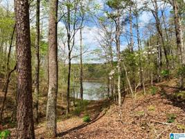 4176 COUNTY ROAD 99