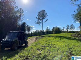 Bumper Jack Ranch (Tract 79) COUNTY ROAD 431