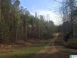 Lot 30 BLUFFS CIRCLE