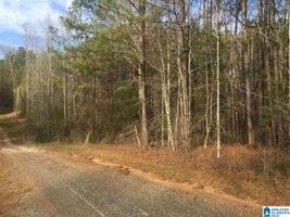 Lot 31 BLUFFS CIRCLE