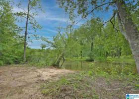 Lot 8 COUNTY ROAD 244