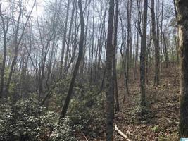 OLD HIGHWAY 431