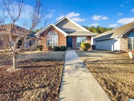 157 VILLAGE DRIVE