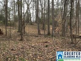 Lot 12A AMANDA DR