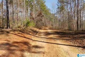 75 ACRES COUNTY ROAD 237