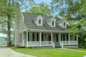 222 BLACK RIVER LANE