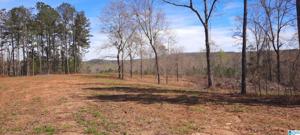COUNTY ROAD 281