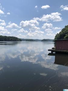 155 COUNTY ROAD 258
